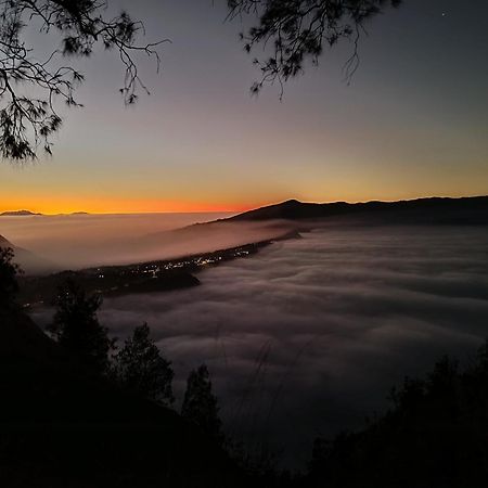 Uciek Tengger Bromo Ngadisari Kültér fotó